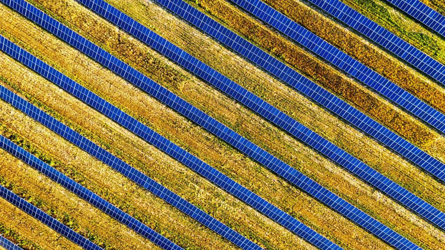 Ariel view of a solar farm on a field of glowing yellow grasses