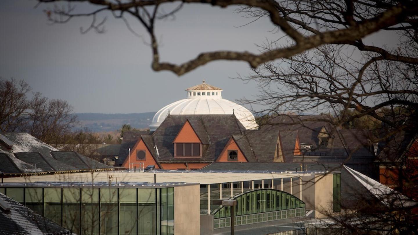Three college campus buildings of various architectural types receed into the distance under a grey sky and a bare branch