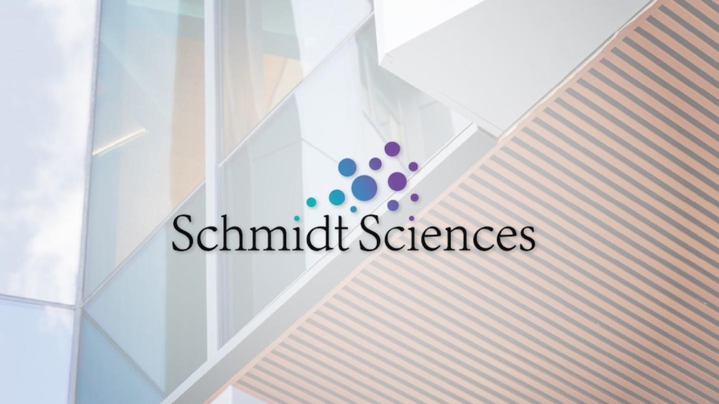 Schmidt Sciences