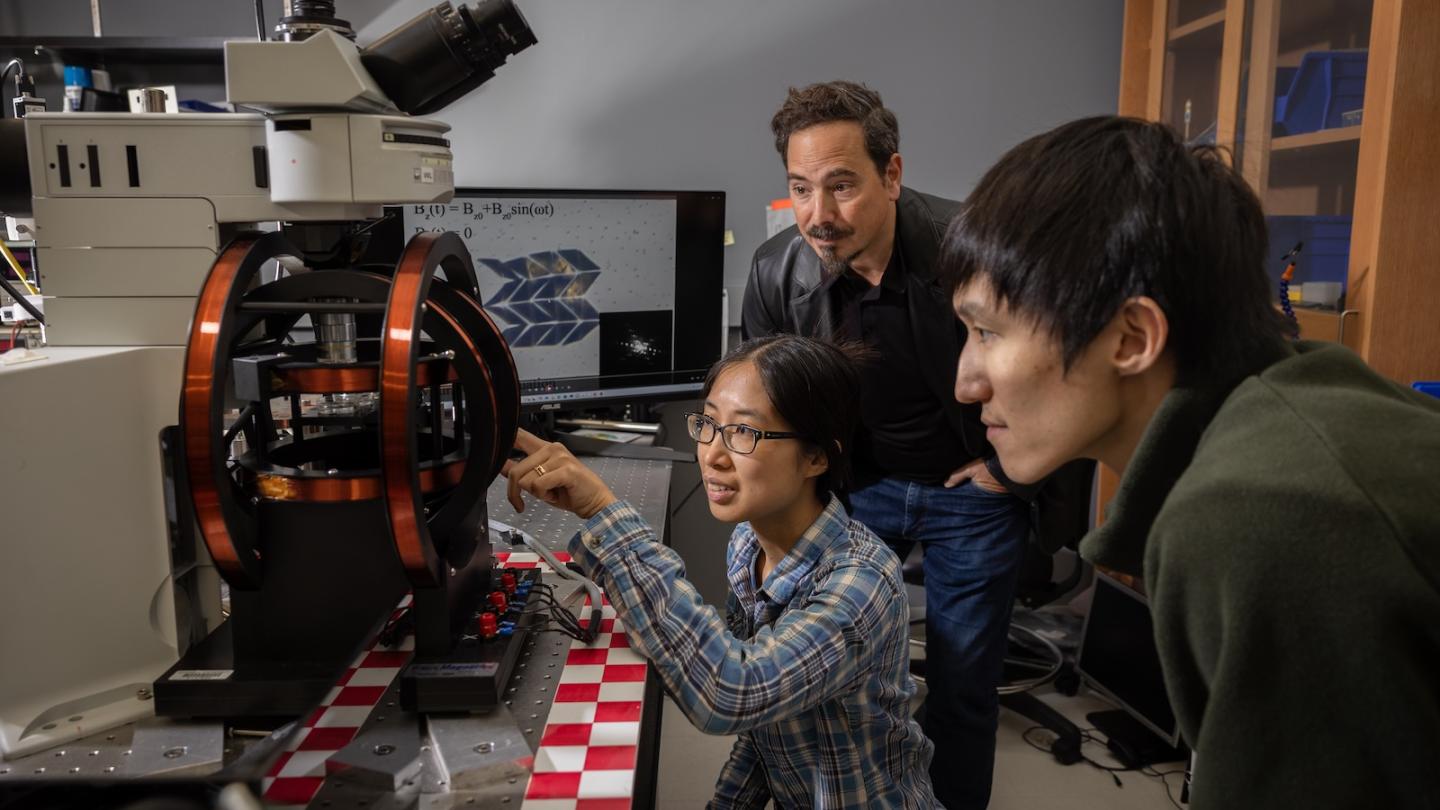 Itai Cohen and researchers in the lab
