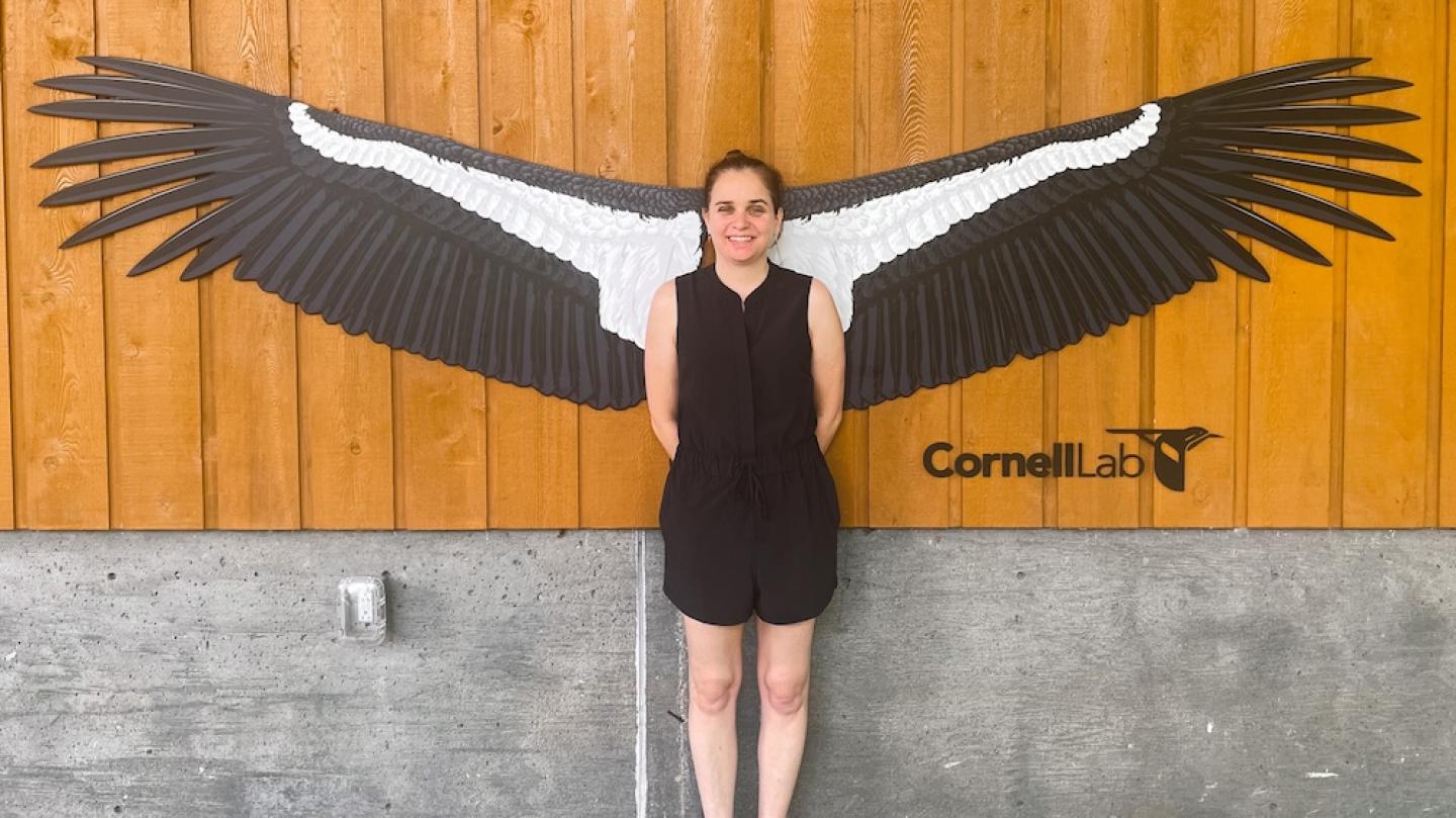 Person in a black outfit standing so a very large pair of black and white wings – a lifesize model of a California condor – spreads out behind her. It looks like she has wings